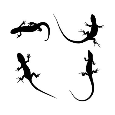 Siyah kertenkele silueti sürünen sürüngen vektör çizimleri beyaz arkaplanda