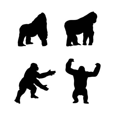 Siyah goril silueti beyaz arkaplanda izole edilmiş vektör çizimleri belirledi
