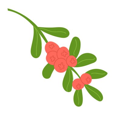 Yeşil yapraklı kızılcık dalı.