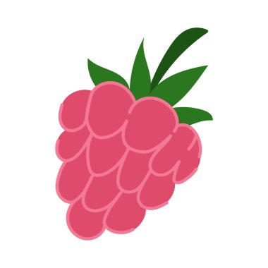 Yeşil Yapraklı Ahududu