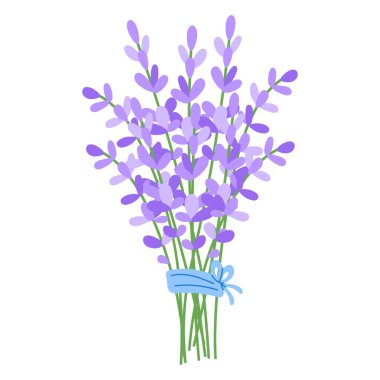 Kadınlar Günü için açık mavi kurdeleyle bağlanmış lavanta buketi.