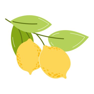 Yeşil Yapraklı Sarı Limonlar Beyaz Arkaplanda Düz Tarzda