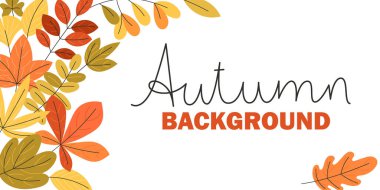 Renkli Sonbahar Bayrağı Şükran Günü Tasarımı İçin Beyaz Uzay Mevsimsel Vektör Arkaplanı Bırakıyor