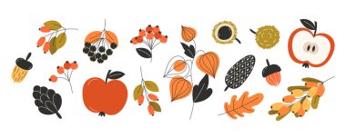Sonbahar meyveleri ve fındıkların geniş bir koleksiyonu. Düz stil olarak elma, kırmızı meşe palamudu yaprakları ve dekoratif tasarım için mevsimsel hasat unsurları içerir.
