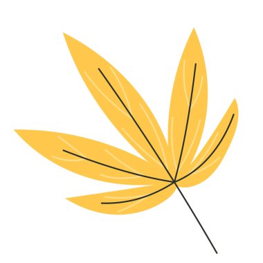 Beyaz Arkaplanda Sarı Japon Akçaağaç Yaprak Biçimi