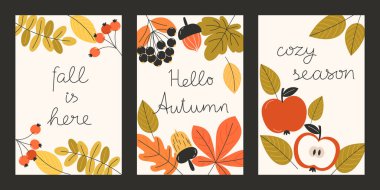 Hoş Mevsimlik Yaprak ve Meyvelerle süslenmiş Sonbahar Sonbahar Kutlama Kartları ve Posterleri Konforlu Şükran Günü Davetiyeleri ve Hasat Tasarımları