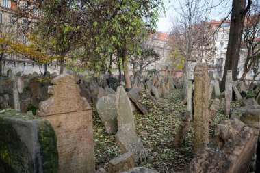 Sonbaharda Çek Cumhuriyeti 'ndeki eski Yahudi Mezarlığı Prag' da. Dikkati dağılmış. Yüksek kalite fotoğraf