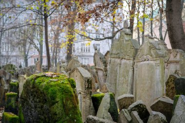 Sonbaharda Çek Cumhuriyeti 'ndeki eski Yahudi Mezarlığı Prag' da. Dikkati dağılmış. Yüksek kalite fotoğraf