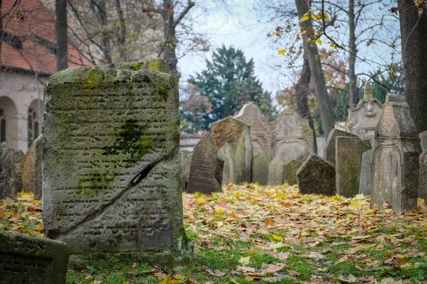 Stary Cmentarz Żydowski Praga Późną Jesienią Rozkojarzony Wysokiej Jakości Zdjęcie — Zdjęcie stockowe