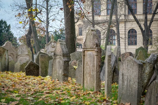 Vecchio Cimitero Ebraico Praga Repubblica Ceca Nel Tardo Autunno Sfocato — Foto Stock