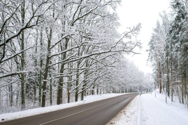 Karlı bir kış gününde yol, kış, yolda kar, kışın araba sürmek. Dikkati dağılmış. Yüksek kalite fotoğraf