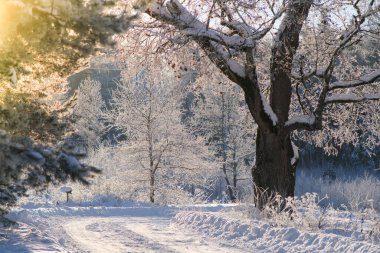 Karlı bir kış gününde yol, kış, yolda kar, kışın araba sürmek. Dikkati dağılmış. Yüksek kalite fotoğraf