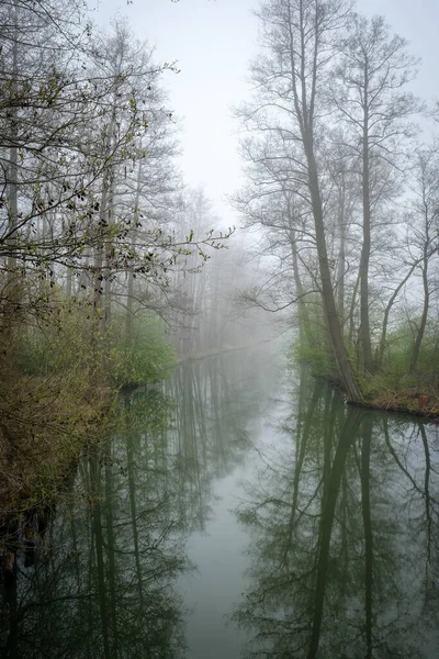 Water Canal Spring Biosphere Reserve Spree Forest Spreewald Luebbenau State — Stock Photo, Image