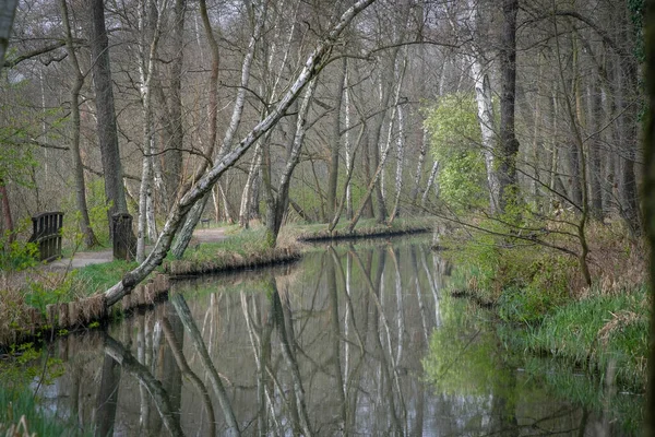 Canal Eau Printemps Dans Réserve Biosphère Spree Forest Spreewald Luebbenau — Photo