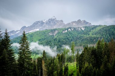 İtalya 'da yaz mevsiminde Dolomite Dağları. Dolomitlerde turizm. Yüksek kalite fotoğraf