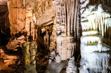Postojna, Slovenya - 15 Haziran 2023: Postojna Mağarası, Postojnska jama, Karst mağara sistemindeki yeraltı kaya oluşumları. Yüksek kalite fotoğraf