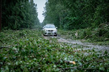 Jurmala, Letonya - 29 Temmuz 2024: Letonya 'nın Jurmala kentindeki fırtına sonrası. Büyük fırtına birkaç yüz ağacı kırdı ve tatil beldesi Jurmala 'da sellere neden oldu. Yüksek kalite fotoğraf