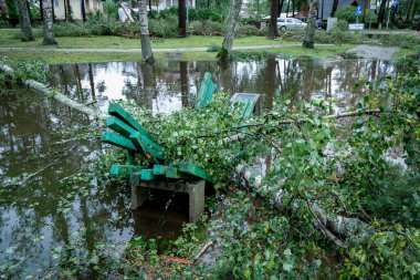 Jurmala, Letonya - 29 Temmuz 2024: Letonya 'nın Jurmala kentindeki fırtına sonrası. Büyük fırtına birkaç yüz ağacı kırdı ve tatil beldesi Jurmala 'da sellere neden oldu. Yüksek kalite fotoğraf