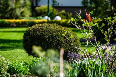 Canlı, bakımlı, dekoratif Rock ve Mulch 'la süslü bir çiçek bahçesi. Peyzaj, bahçıvanlık, bahçe tasarımı ve doğa estetiği ile ilgili konular için ideal bir imaj. Yüksek kalite fotoğraf