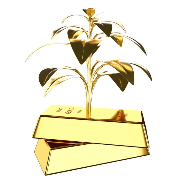 Arany Rúd Arany Növényekkel — Stock Fotó