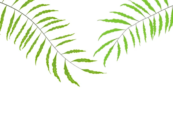 Jungelns Tropiska Lövskog Gröna Blad Bakgrund Vektor Illustration — Stock vektor