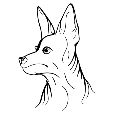 Köpek kafası maskotu logosu, rozet tasarımı, amblem ya da baskı, evcil hayvan logosu tasarımı, Vektör illüstrasyonu