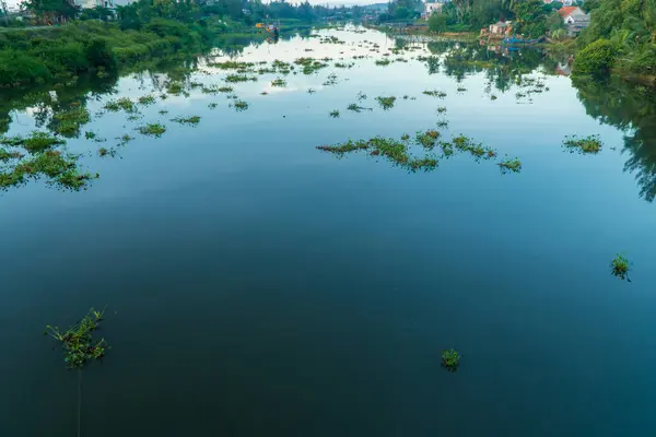 stock image Scenery on the river with many water hyacinths in the morning, no boats passing. Angle shot from above. River nature symbol.