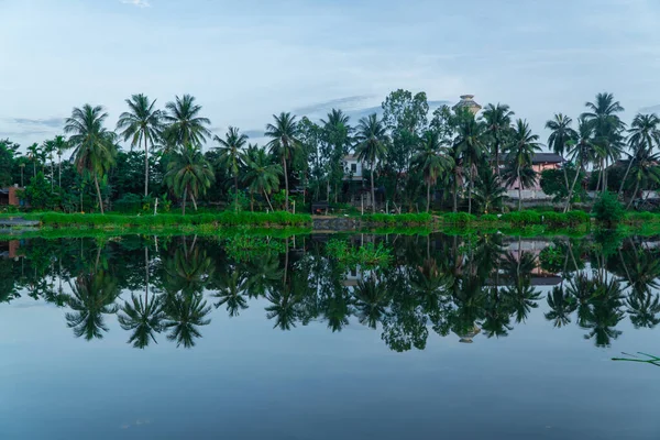 河上的风景 河岸上有椰子树 水面上有倒影 水河的自然与反思 自然背景 — 图库照片