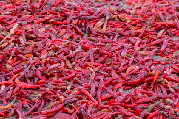 Kurutulan Kırmızı Biberlerin Arka Planı Baharat Arka Planı Yemek Arkaplanı — Stok fotoğraf