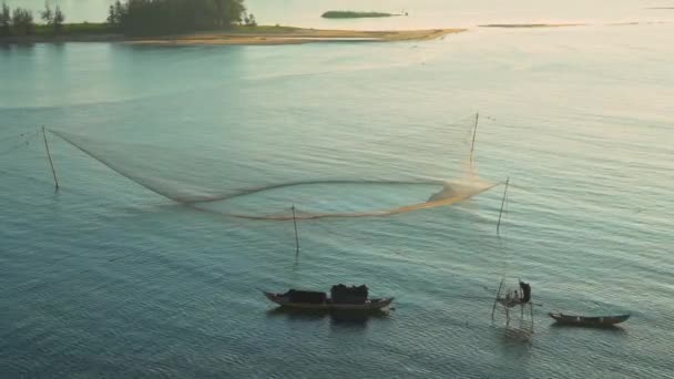 Raquetas Peces Gigantes Gian Pescadores Vietnamitas Desembocadura Del Río Tra — Vídeo de stock
