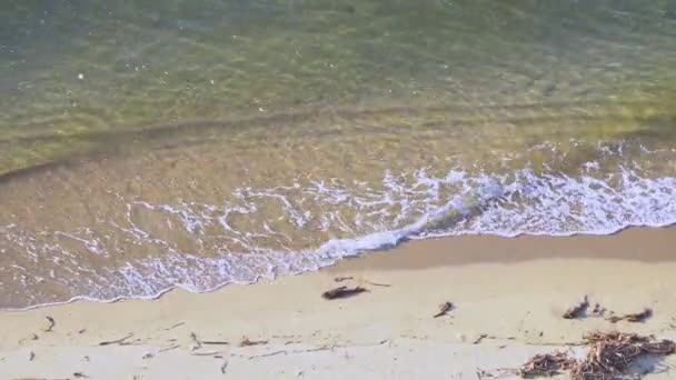 Kleine Wellen Der Mündung Des Flusses Plätschern Gegen Die Sandinseln — Stockvideo