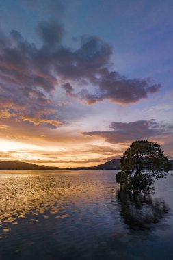 Körfezin üzerinde bulutlarla birlikte havadan gün doğumu Orta Sahildeki Woy Woy 'da, NSW, Avustralya.