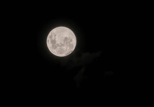 Luna Lunar Tierra Satélite Natural Permanente Visto Cielo Sobre Australia — Foto de Stock