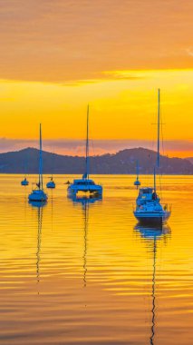 Brisbane Suyu üzerinde gün doğumu su manzarası Koolewong Merkez Sahili, NSW, Avustralya.