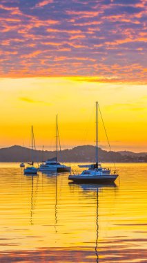 Brisbane Suyu üzerinde gün doğumu su manzarası Koolewong Merkez Sahili, NSW, Avustralya.