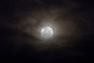 Gece gökyüzünde neredeyse dolunay parlıyordu. Hava kararmadan hemen önce. Woy Woy, NSW, Avustralya 'dan görüldüğü gibi bulutlar yüksekti..