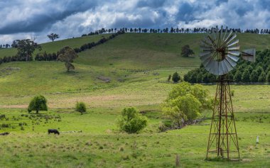 NSW, Avustralya 'nın orta batısındaki Orange yakınlarındaki Lucknow civarındaki manzaranın tadını çıkarıyor..