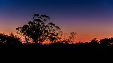 Avustralya, NSW 'nin orta batısındaki Blayney kırsalında gün batımı.