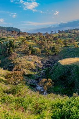 Avustralya, NSW 'nin orta batısında bulunan güzel manzaralı Carcoar Barajı veya Carcoar Gölü