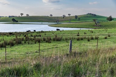 Avustralya, NSW 'nin orta batısında bulunan güzel manzaralı Carcoar Barajı veya Carcoar Gölü