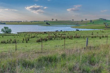 Avustralya, NSW 'nin orta batısında bulunan güzel manzaralı Carcoar Barajı veya Carcoar Gölü