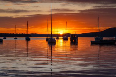 Mükemmel bir gün - Brisbane üzerinde gün doğumu Orta Sahildeki Koolewong 'da, NSW, Avustralya.
