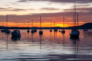 Mükemmel bir gün - Brisbane üzerinde gün doğumu Orta Sahildeki Koolewong 'da, NSW, Avustralya.