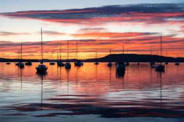 Mükemmel bir gün - Brisbane üzerinde gün doğumu Orta Sahildeki Koolewong 'da, NSW, Avustralya.