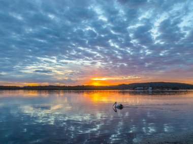 Kederli Yaz Gündoğumu, Woy Woy 'daki bulutlar ve yansımalarla, Avustralya, NSW, Avustralya.