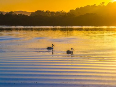 Körfezin üzerinde, Woy Woy 'da açık gökyüzü ile birlikte NSW, Avustralya.