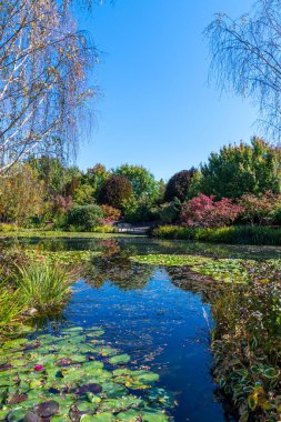 Exploring the flora and fauna at Mayfield Garden just out of Oberon in the Central West of NSW, Australia.  clipart