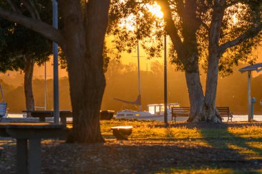 Orta Sahildeki Woy Woy 'daki ağaçların arasından gün batımı ışığı, NSW, Avustralya.