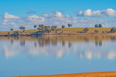 Cairn Curran Reservoir, Avustralya 'nın Victoria kentinde Baringhup, Newstead ve Welshmans Resifleri yakınlarındaki Loddon Nehri boyunca yer alan bir dinlenme ve sulama rafinerisidir..