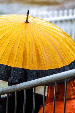 Weldon Oval, Curl Curl, NSW, Avustralya 'da sarı şemsiye altında yağmurlu bir gün